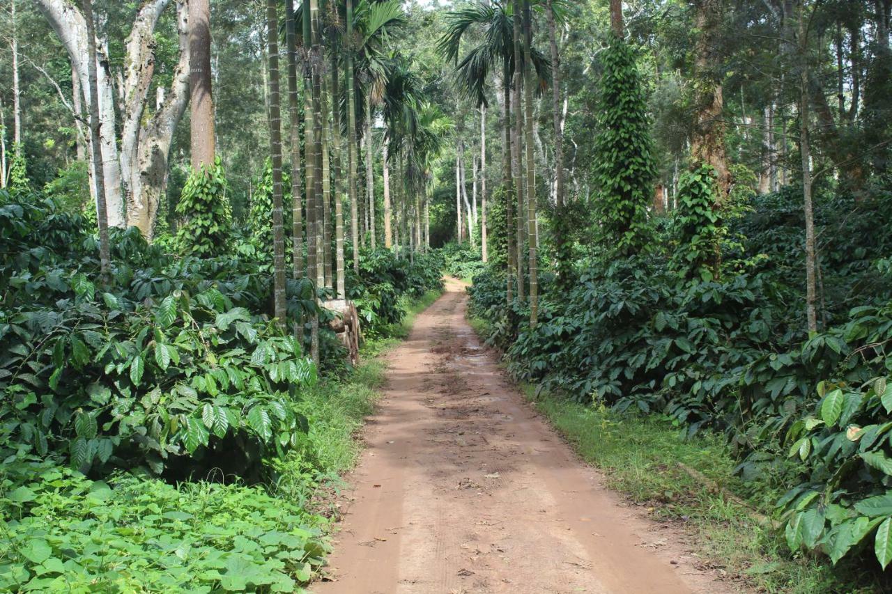 Whistling Woods Farm Stay Kushālnagar Exteriör bild